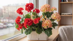 Kam umístit rostliny místo parapetu – a proč je to důležité