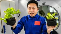 Ve vesmíru se naučili vyrábět vzduch k dýchání: průlom pro Mars